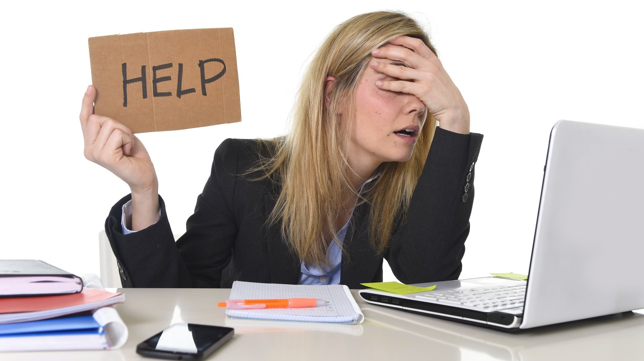 Sentiment Won’t Pay the Bills: Why B2B Tech Leaders Must Pivot to Profit-First Metrics